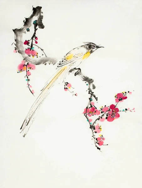 Pflaumenblütenzweig Und Paradiesvogel Auf Hellem Hintergrund — Stockfoto