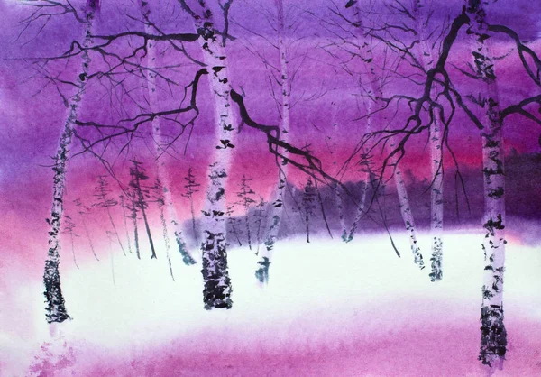 Bright Lilac Sunset Winter Forest — Stock Photo, Image