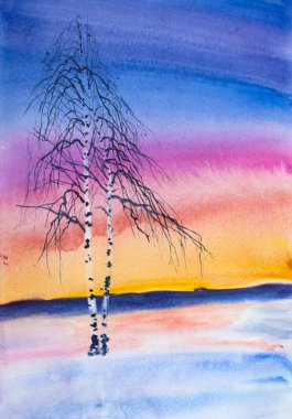 white birch and bright winter sunset