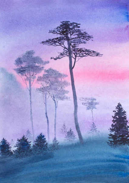 黎明前昏昏欲睡的雾蒙蒙的森林 — 图库照片
