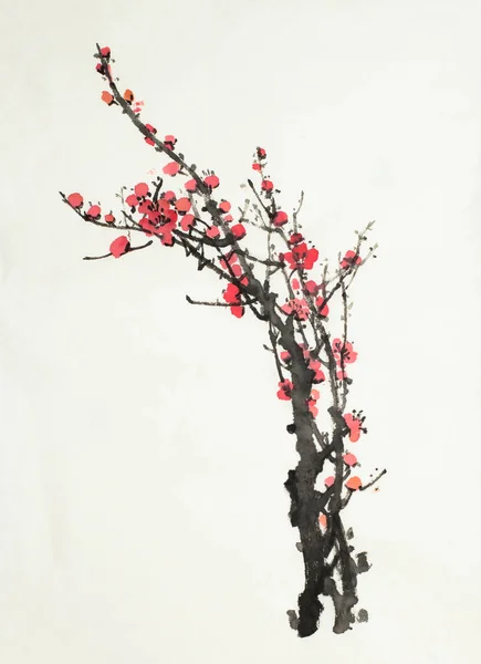 Švestkový květ větev — Stock fotografie