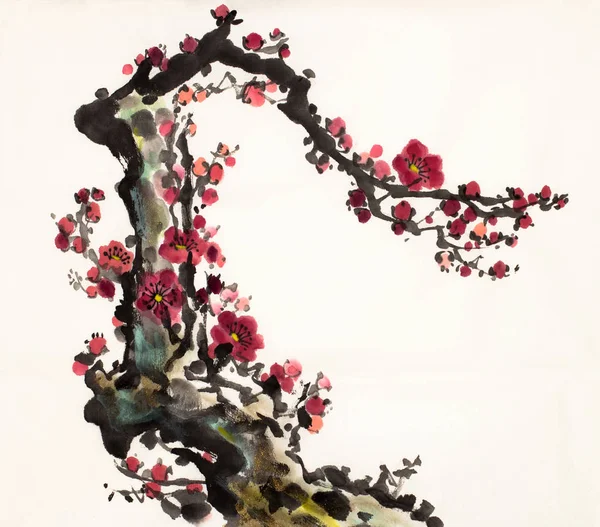 Blommande gren av plommon — Stockfoto