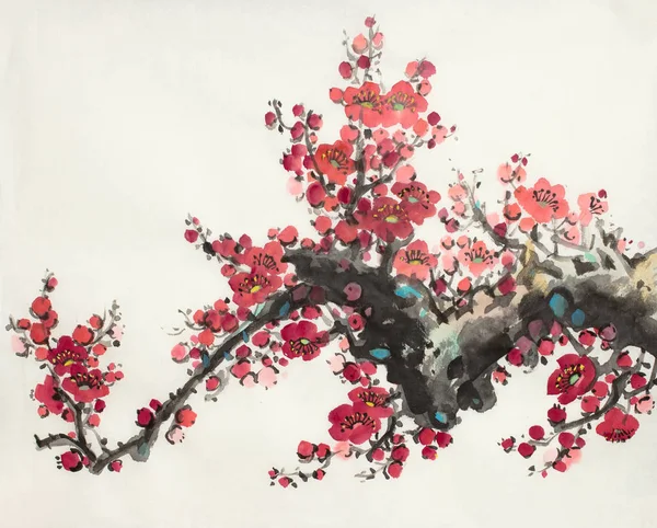 梅の開花枝 — ストック写真