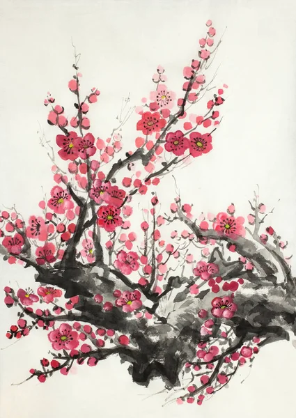Flowering branch of plum — Stock Photo, Image