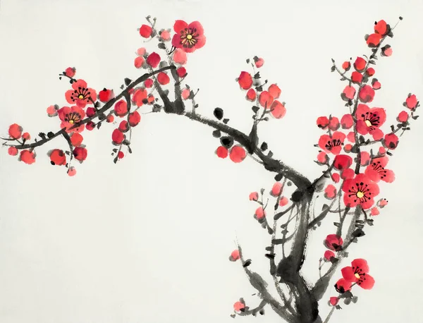 Plum blossom gren — Stockfoto