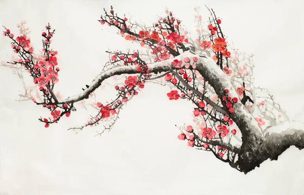 Plum blossom ág — Stock Fotó