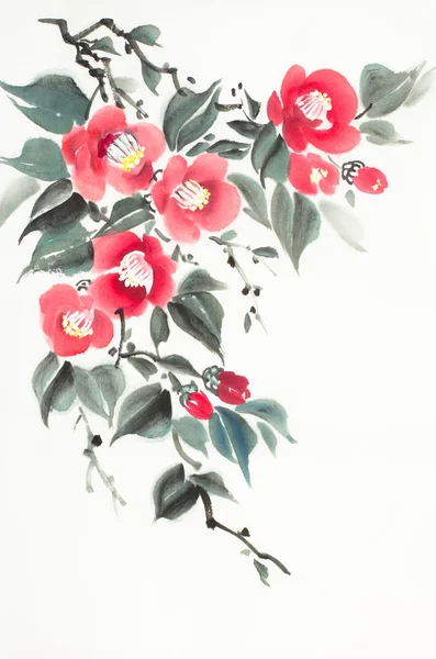 Květy červené Camellia — Stock fotografie