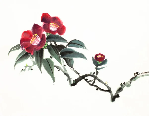 Kırmızı kamelya çiçeği — Stok fotoğraf