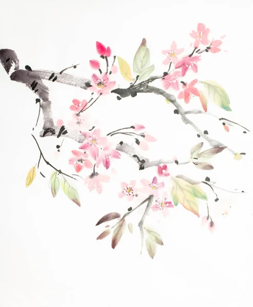 Třešňové květy větev — Stock fotografie