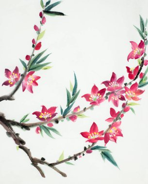 parlak ve çiçekli şeftali dalı