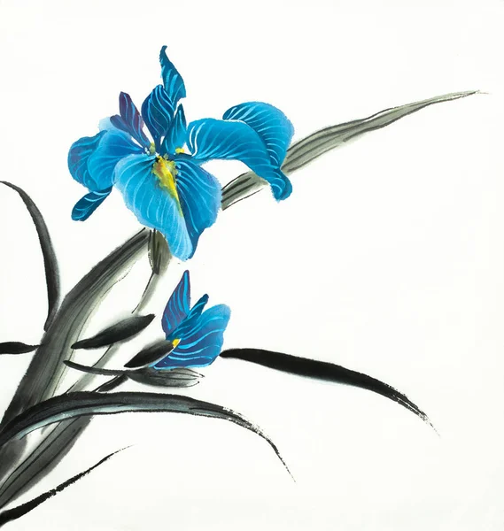 Helder blauwe iris bloem — Stockfoto