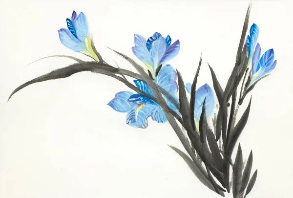 Iris bleu fleurs — Photo