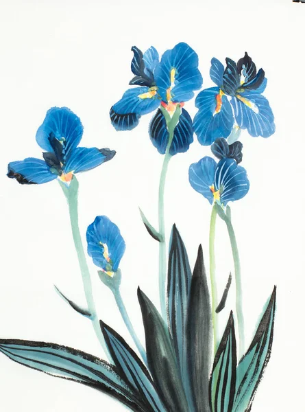 Blue iris květiny — Stock fotografie