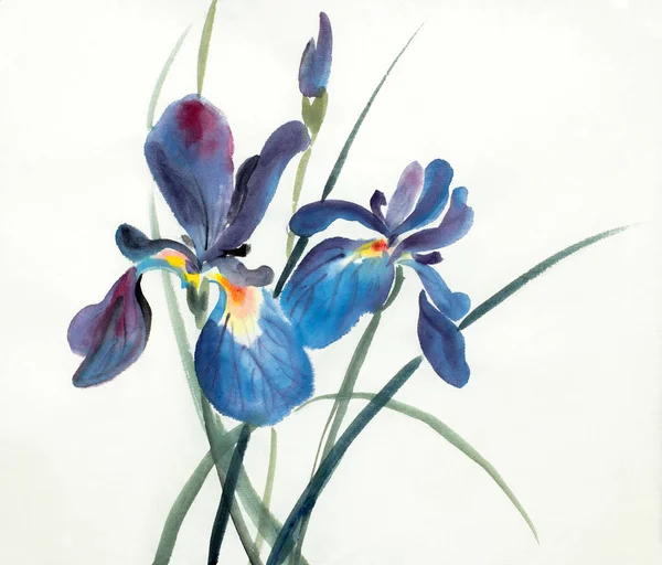 Flores de iris azul lila —  Fotos de Stock