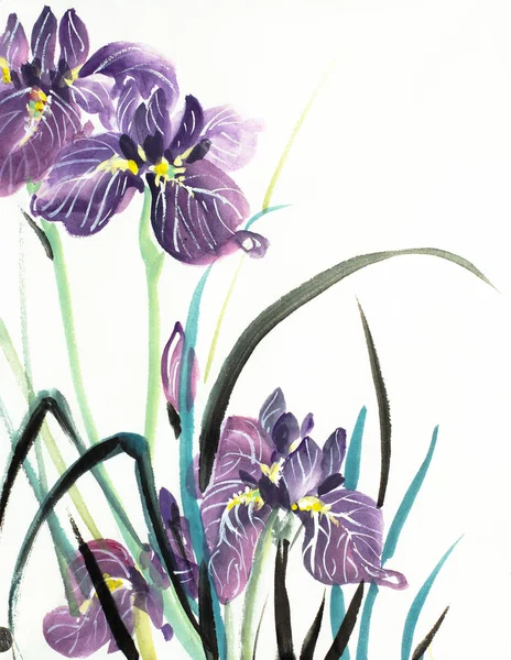 Lila Iris bloemen — Stockfoto