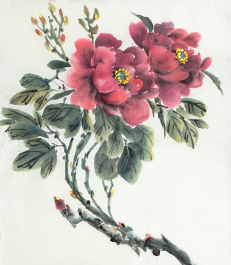 Kırmızı Şakayık çiçeği