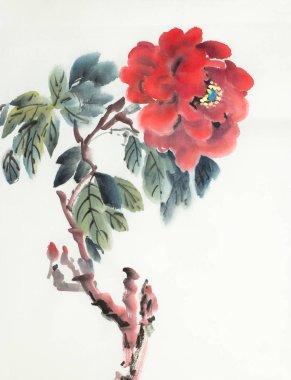 Kırmızı Şakayık çiçeği