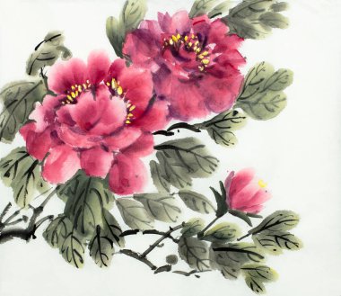 kırmızı şakayık çalı