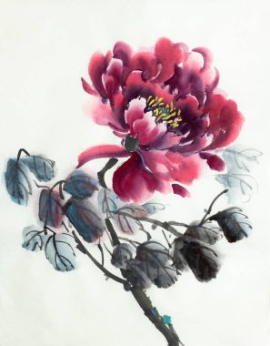 Parlak kırmızı Şakayık