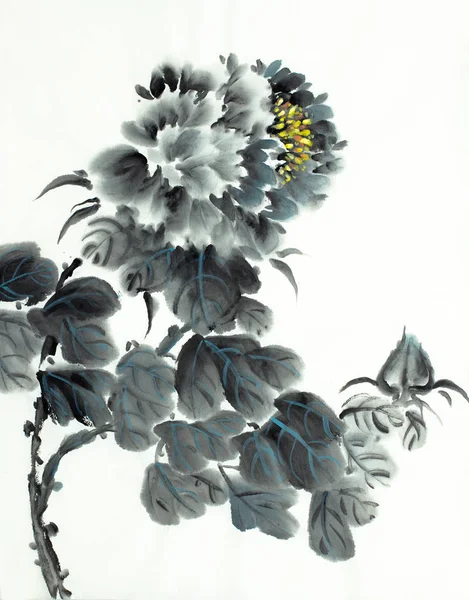 Gyengéd fekete bazsarózsa — Stock Fotó