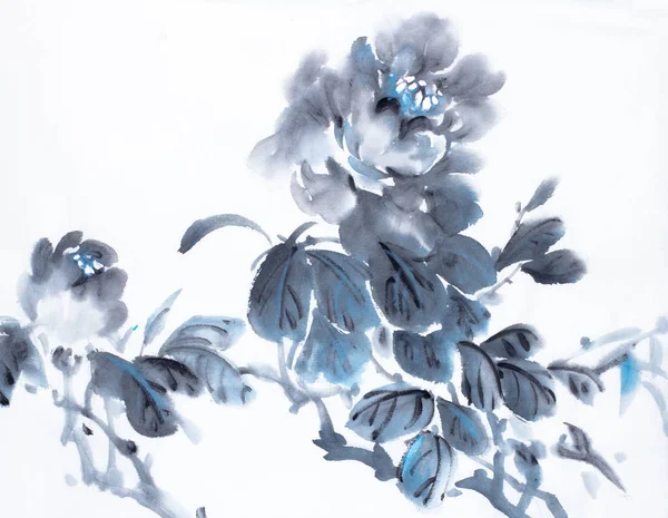 Peônia azul escuro — Fotografia de Stock