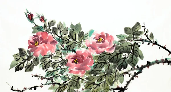 Rosas escarlate florescendo — Fotografia de Stock