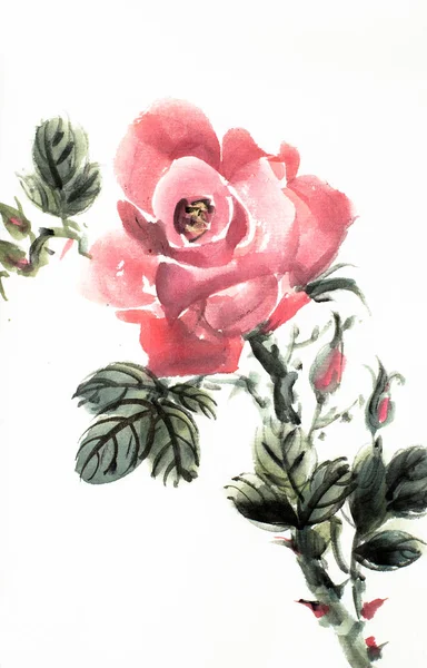 Цветущая алая роза — стоковое фото
