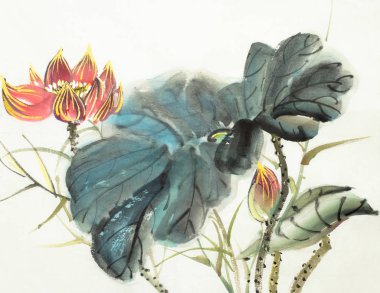 hassas lotus çiçeği