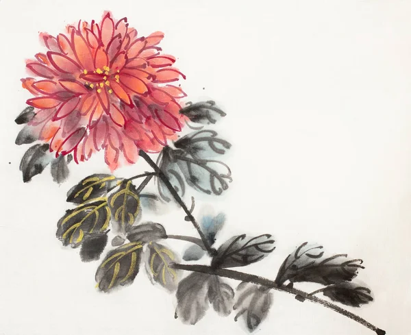 Rode Chrysant bloem — Stockfoto