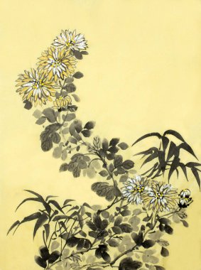 Gümüş-altın kasımpatı çiçeği