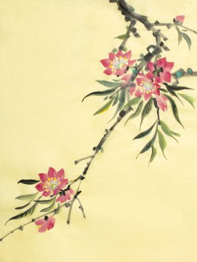 Çiçekli şeftali şube