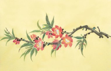 Çiçekli şeftali şube