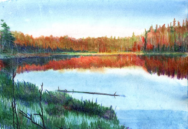 Bright Summer Sunset Lake — Stock Photo, Image