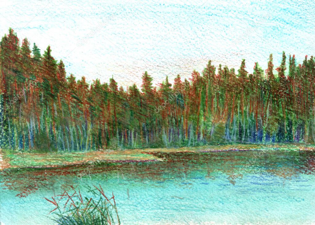 pine trees and sunset on a forest lake