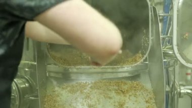 Modern Craft Brewery. Hop Hop Extractor birayla dolaşan