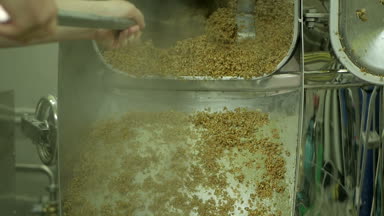 Pişmiş malt arpa zanaat bira için