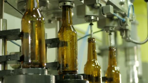 Linea tecnologica per l'imbottigliamento della birra — Video Stock