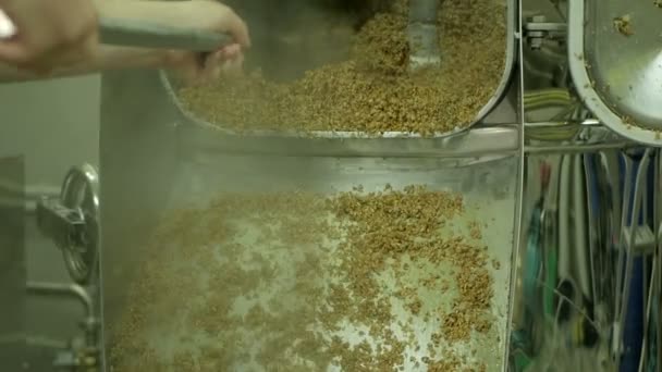 Cevada de malte cozida para cerveja artesanal — Vídeo de Stock