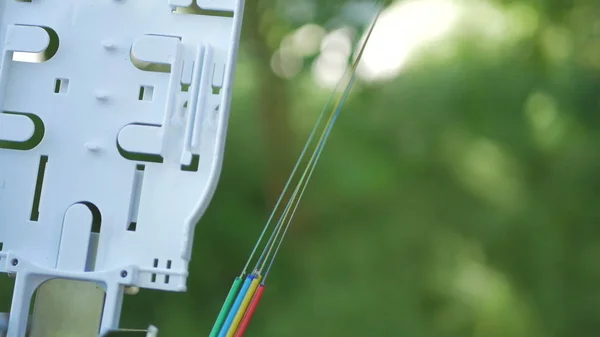 Technicians are installing optic fiber with cable ties. Royalty Free Stock Images