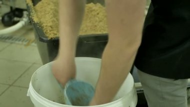 Haşlanmış malt bira üretiminde.