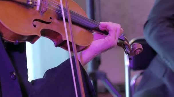 Male performs lead violin sole part playing at classical concert. — Stock Video