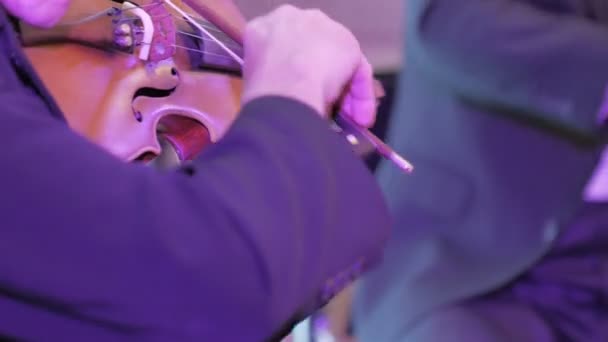 Instrumentos de violino, orquestra sinfônica — Vídeo de Stock