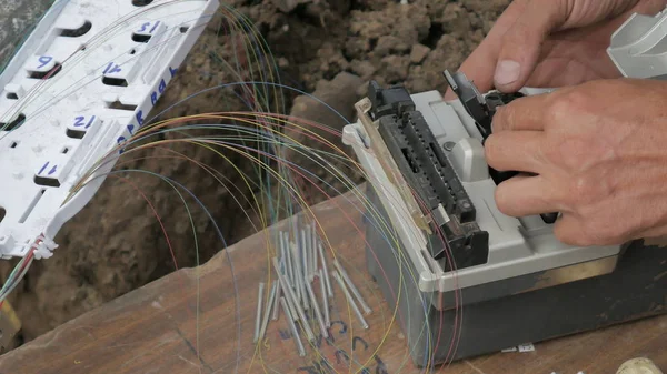 Internet teknolojisi meslek