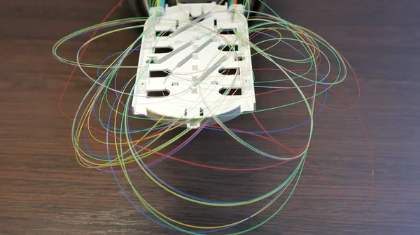 Optical tray with colored fibers Stock Picture