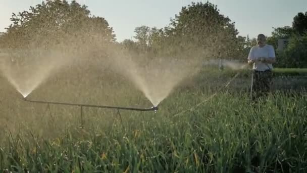 Riego de las plantas cultivadas en el jardín — Vídeo de stock