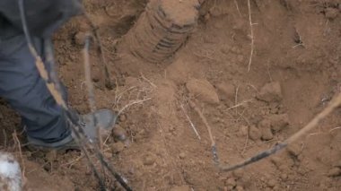 Erkek iletişim mühendis optik kablo ile çalışıyor