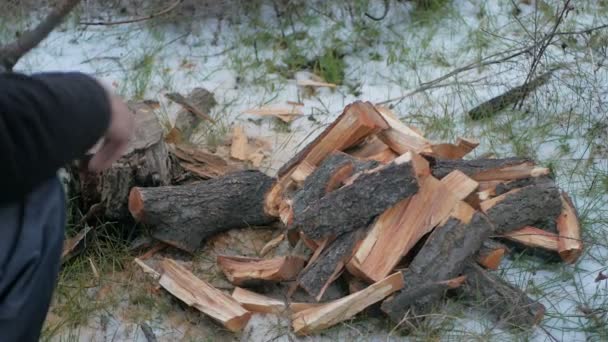 伐木工人砍柴 — 图库视频影像