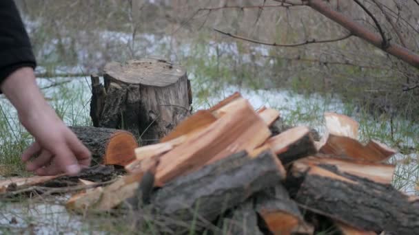 Madera aserrada . — Vídeos de Stock