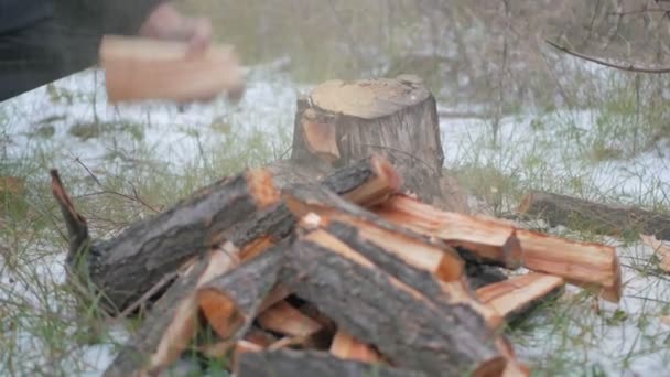 Trabajador cortando madera al aire libre — Vídeos de Stock