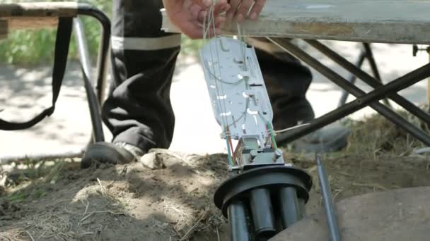 Männliche Kommunikationstechniker arbeiten mit optischen Kabeln — Stockvideo